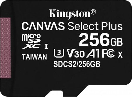 Kingston Karta pamięci 256 GB