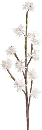 Eurofirany Kwiat Flore 557 Dł. 82 Cm Dł. Z Kwiatami 50Cm/8Cm Biały