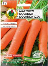 Zdjęcie Marchew Jadalna Dolanka Nasiona Pnos - Zdzieszowice