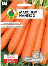 Zdjęcie Marchew Jadalna Nantes 3 Nasiona Pnos - Wiślica