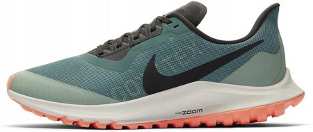 Nike Zoom Pegasus 36 Trail Gore-tex BV7763-300 40