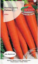 Zdjęcie Marchew Flakkese 2 - Flacoro 5G T - Parczew