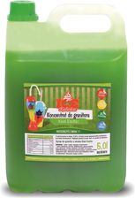 Icekalinka Syropy Do Granity Koncentrat Kiwi Exotic 5L