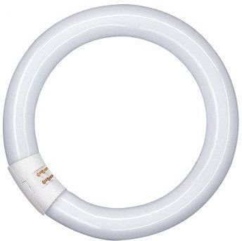 TLoooS① Używany Pozostałe - 100 PLN - Otomoto.pl