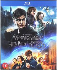 Harry Potter 1-8 / Fantastic Beasts and Where to Find Them (BOX) (9xBlu-Ray)