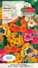 Zdjęcie Nemezja Mieszanka 0,5G T* - Parczew