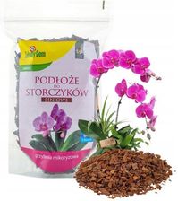 Zdjęcie ﻿Podłoże Do Storczyków Grzybnia Mikoryzowa Piniowe - Gdańsk