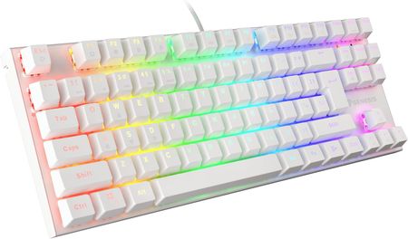 Klawiatura Genesis Thor 303 TKL RGB (NKG-1862)