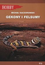 Zdjęcie Gekony i felsumy - Michał Kaczorowski [KSIĄŻKA] - Pszów