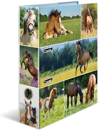 HERMA Motif file A4 animals horse meadow