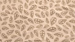 Zdjęcie Robens Klondike Fleece Carpet Beżowy - Głogówek