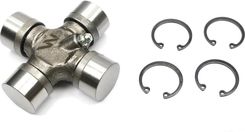 Zdjęcie WARYNSKI W712780 - Włocławek