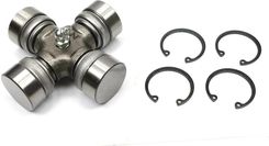 Zdjęcie WARYNSKI W713598 - Bydgoszcz