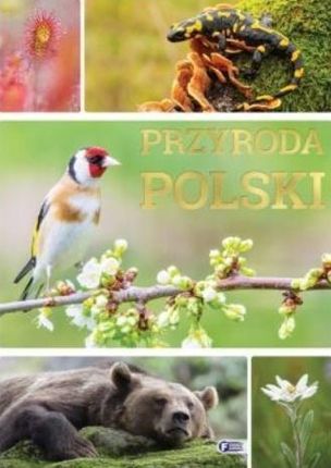 Przyroda Polski Fenix