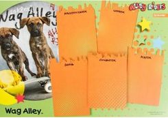 Zdjęcie Pets Plan Lekcji Z Magnesem Wag Alley - Buk