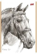 Zdjęcie Unipap Szkicownik A4 - Konstancin-Jeziorna