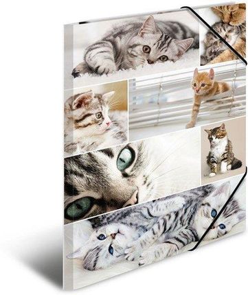 Herma Elasticated Folder A3 Cardboard Cats