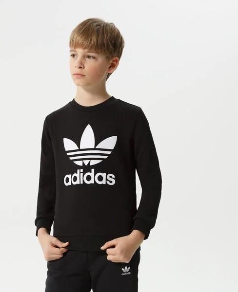 ADIDAS BLUZA TREFOIL CREW B - Ceny I Opinie - Ceneo.pl