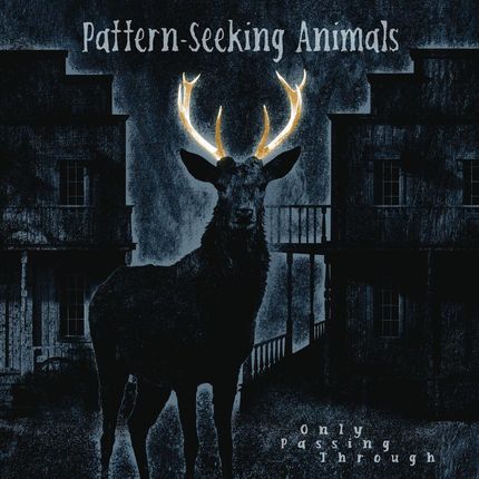Only Passing Through (vinyl+CD) Pattern-Seeking Animals