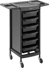 Physa Wózek Fryzjerski 10 Kg 6 Szuflad Z 3 Przegrodami Uchwyt Na Suszarkę Półka 420x390mm Physa Rr 1 Gwarancji