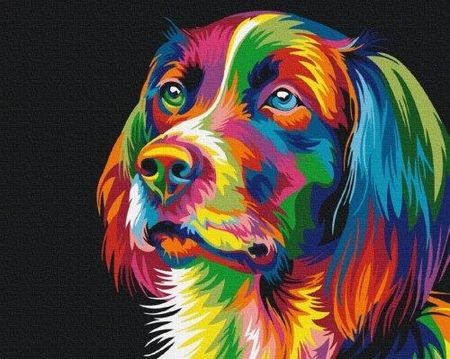 Symag Obraz Malowanie Po Numerach Pies W Kolorach (5_819382)