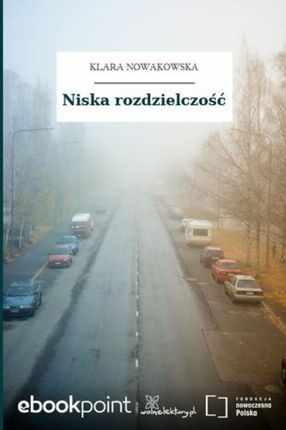 Niska rozdzielczość (ebook)