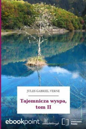 Tajemnicza wyspa, tom II (ebook)