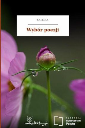 Wybór poezji (ebook)