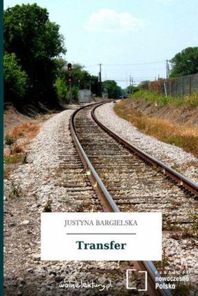Transfer (ebook)