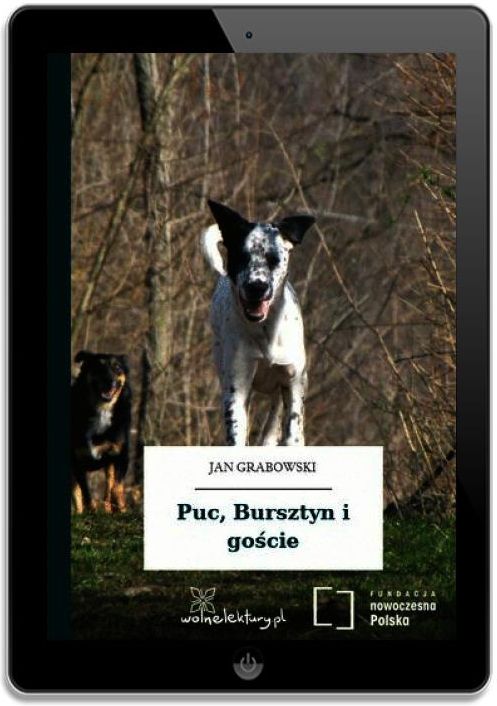 Sprawdzian Puc Bursztyn I Goście