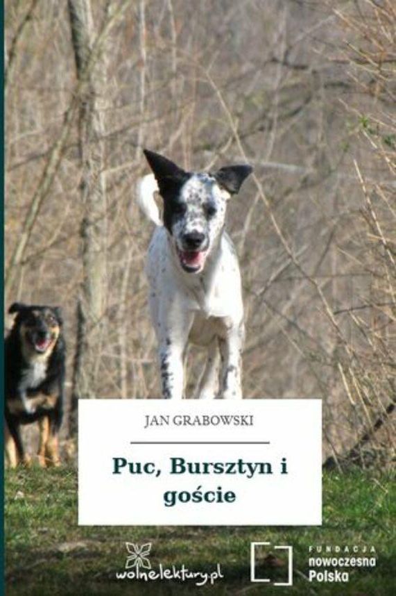 Opis Psa Puca Z Lektury Puc Bursztyn Goście Puc, Bursztyn i goście (ebook) - Ceny i opinie - Ceneo.pl