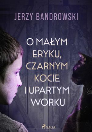 O małym Eryku, czarnym kocie i upartym worku (ebook)