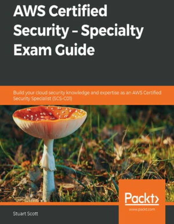 AWS Certified Security Specialty Exam Guide (ebook) Ceny i opinie