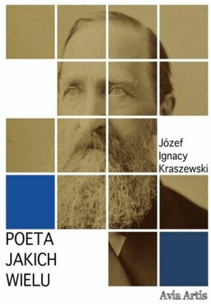 Poeta jakich wielu (ebook)