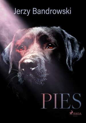 Pies (ebook)