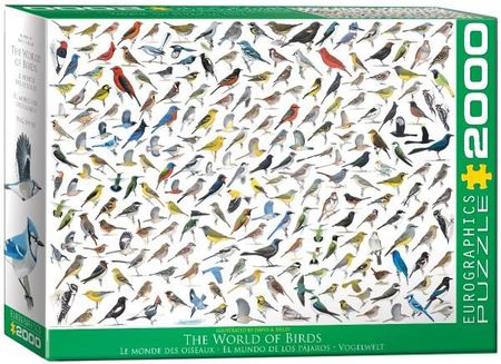 Eurographics 2000El. The World Of Birds 8220-0821