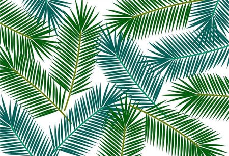 Fototapeta Flizelinowa Liście palmowe - 104x70