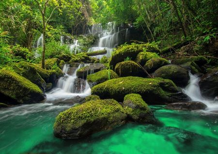Fototapeta Flizelinowa Wodospad w dżungli 208x146