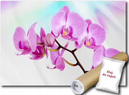 Fototapeta Różowa Orchidea 9D Fm 104x70,5 F116