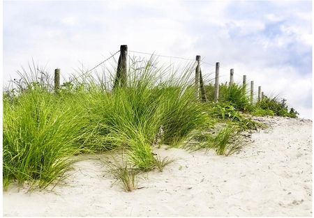 Fototapeta 3D plaża wydmy rośliny 416x290 F00199
