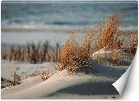 Fototapeta Plaża Morze Trawy Wydmy 450x315