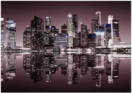Fototapeta 3D Singapur miasto noc 368x254 F00694