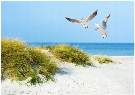 Fototapeta 3D mewy plaża morze 368x254 F00255