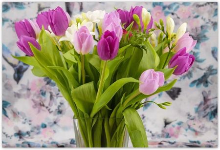 Fototapeta 200x135 Bukiet tulipanów Kwiaty