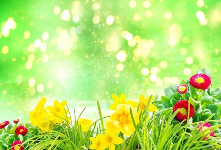 Tapeta flizelinowa Wielkanoc Kwiaty 104x70