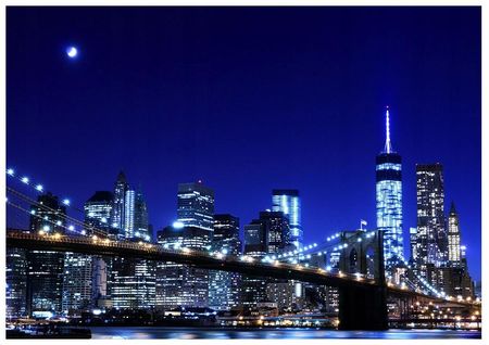 Fototapeta 3D Nowy Jork nocą 368x254 F00316