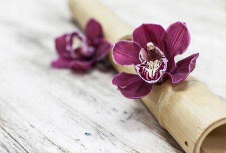 Fototapeta Flizelinowa Orchidei Drewno - 104x70