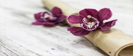 Fototapeta Flizelinowa Orchidei Drewno 250x104