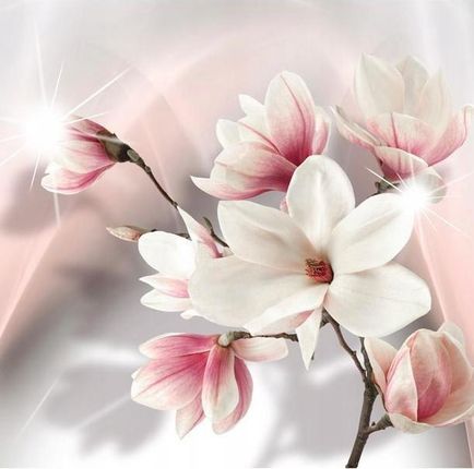 Fototapeta 400x280 +klej, Białe magnolie, róż, 3D
