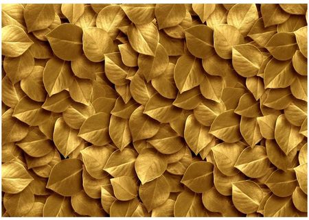 Fototapeta - Złote liście 100 x 70